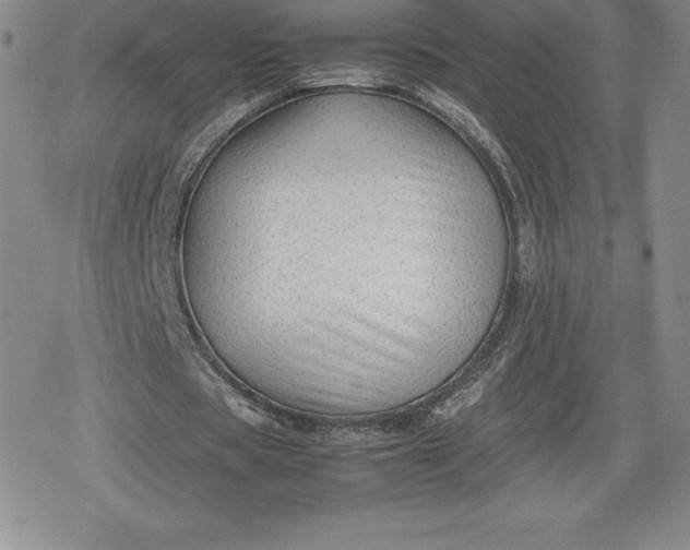 X0000080160529200612221228