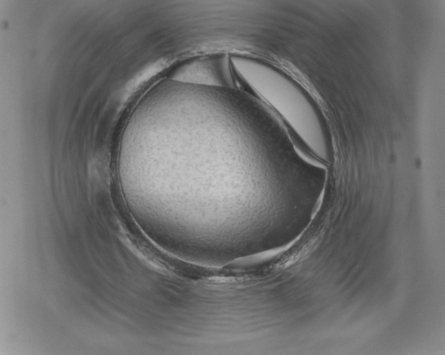X0000080160530200612221228
