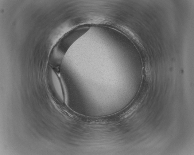 X0000080160532200612221228