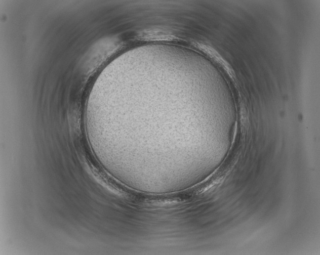 X0000080160533200612221228