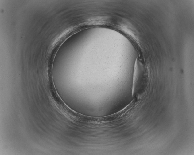 X0000080160535200612221228