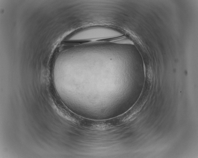 X0000080160540200612221228