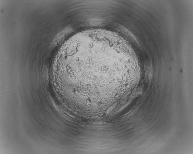 X0000080160542200612221228