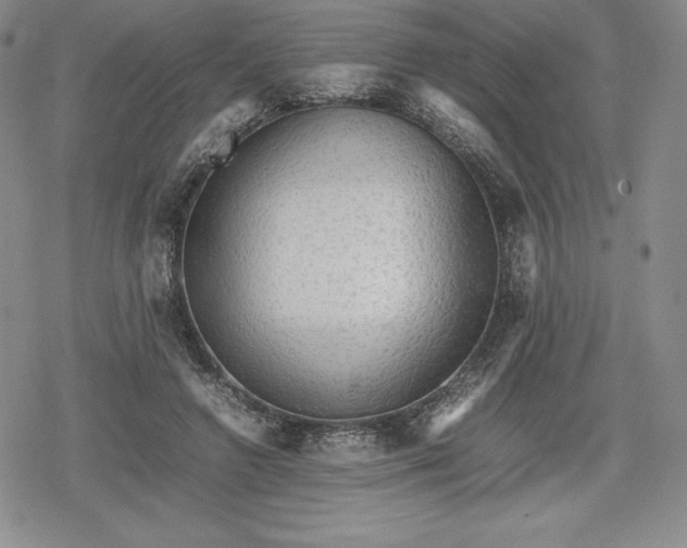 X0000080160546200612221228