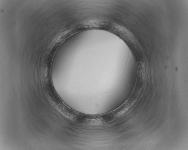 X0000080160548200612221228