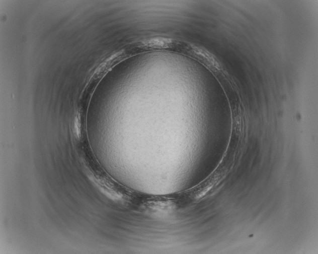 X0000080160552200612221228