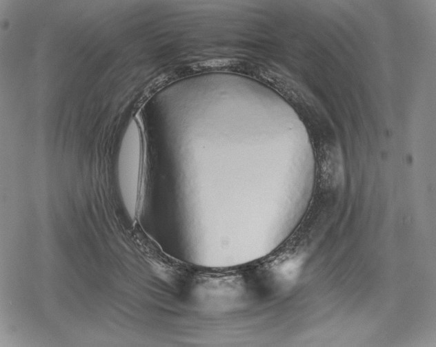 X0000080160555200612221228