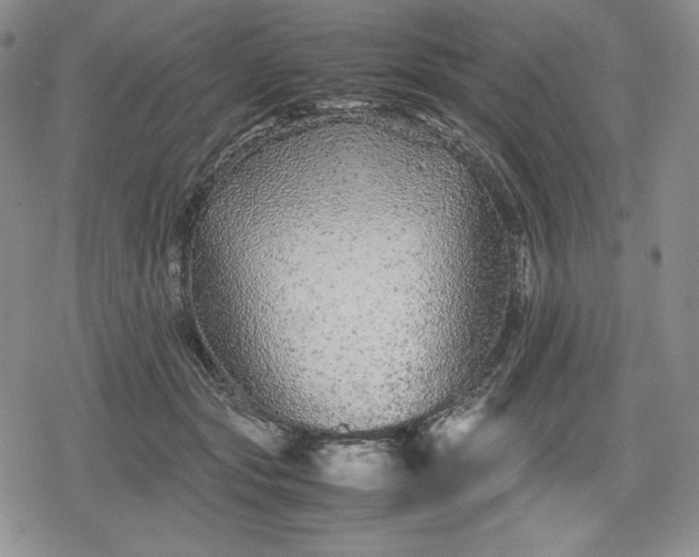 X0000080160557200612221228
