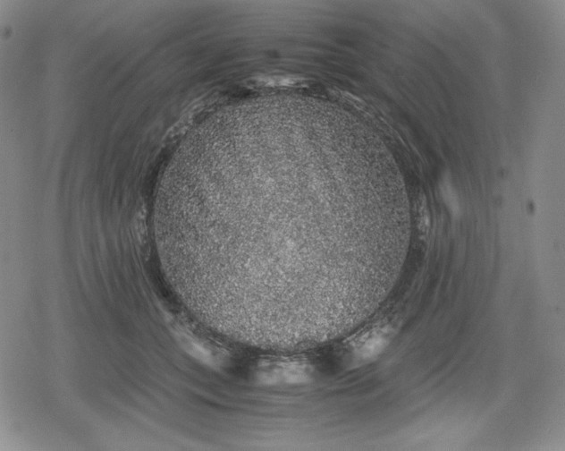 X0000080160559200612221229