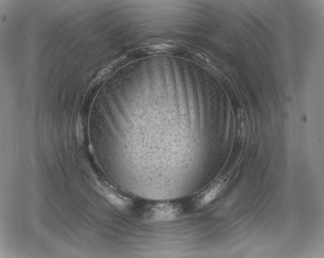X0000080160562200612221229