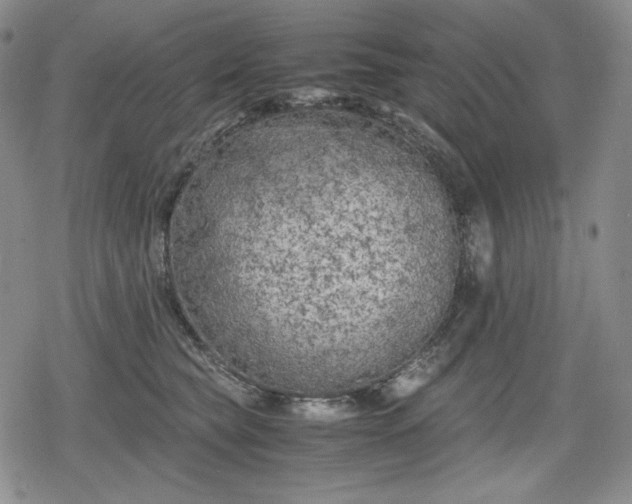 X0000080160565200612221229