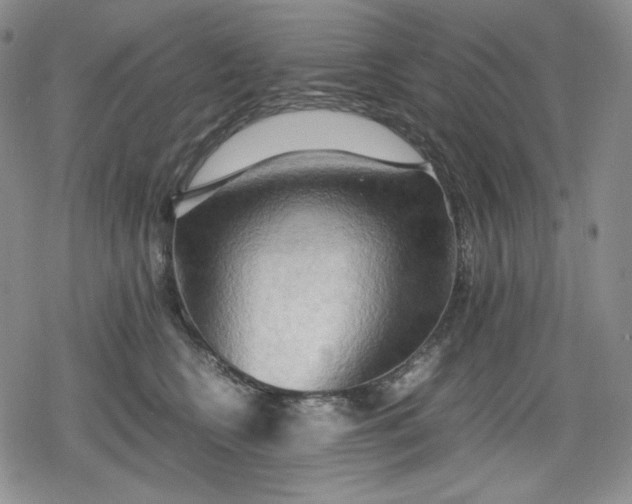 X0000080160566200612221229