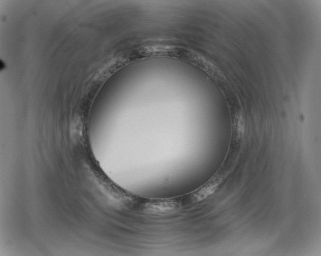 X0000080160567200612221229