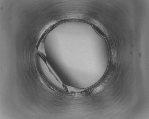 X0000080160580200612221228