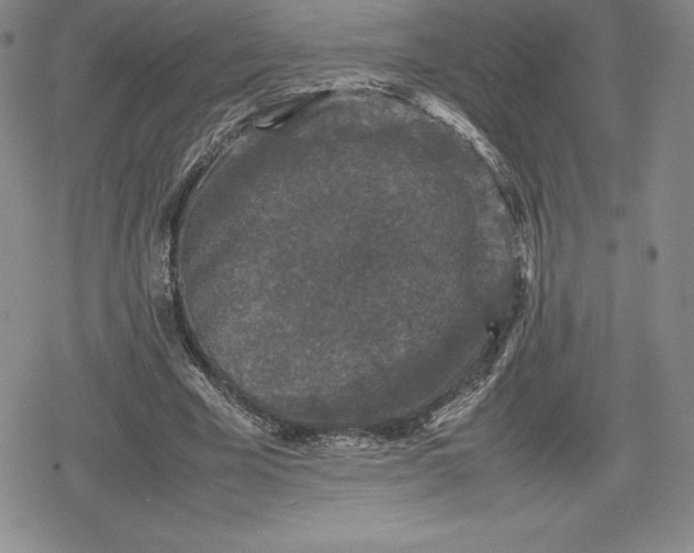 X0000080160585200612221228