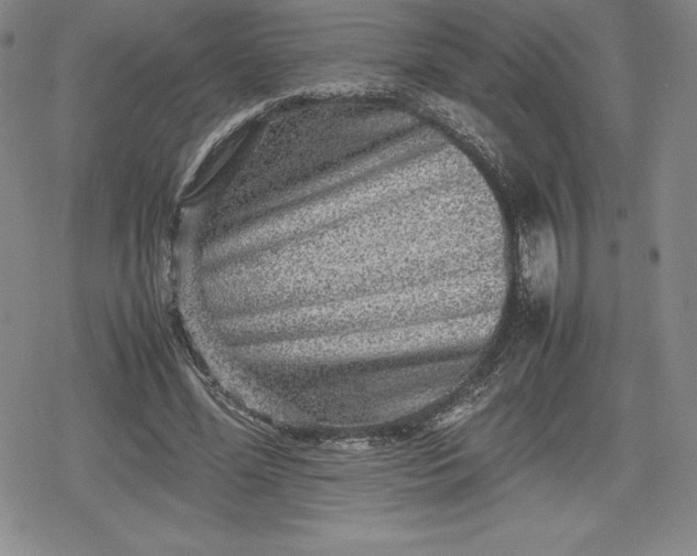 X0000080160588200612221228