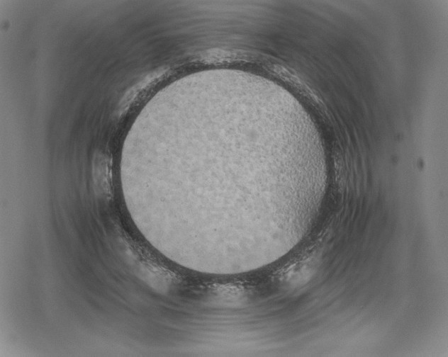 X0000080160592200612221228