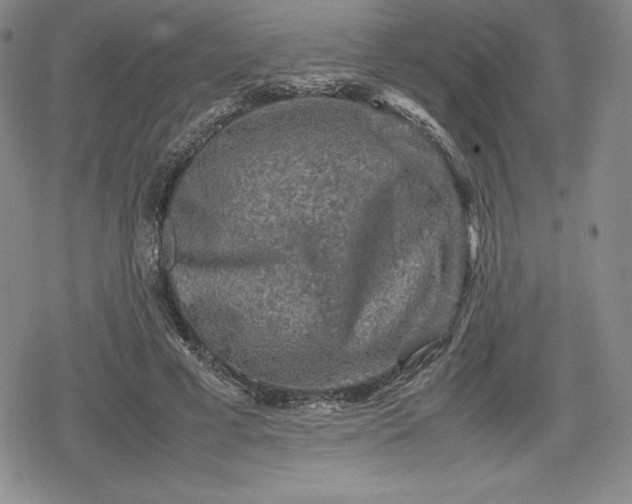 X0000080160593200612221228