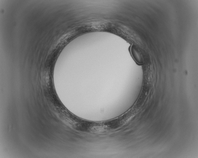 X0000080160595200612221228
