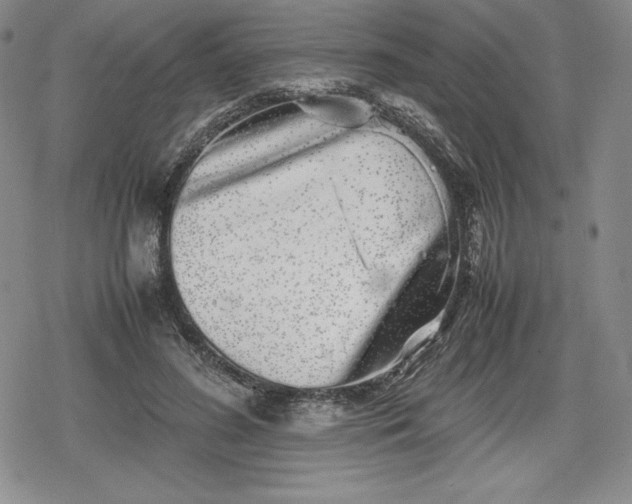 X0000080160596200612221228