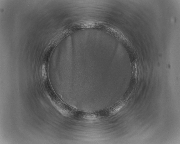 X0000080160598200612221228