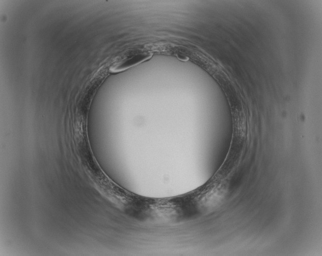 X0000080160603200612221228