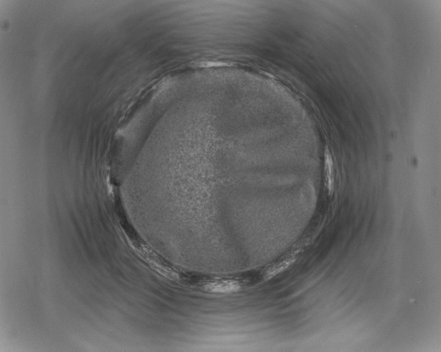 X0000080160604200612221228