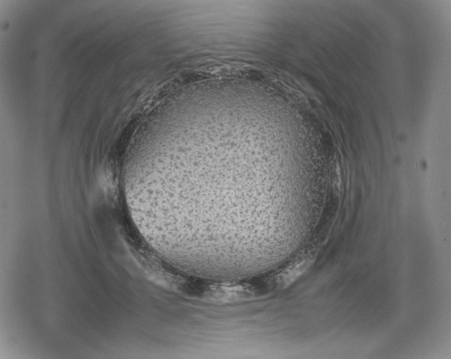 X0000080160607200612221228