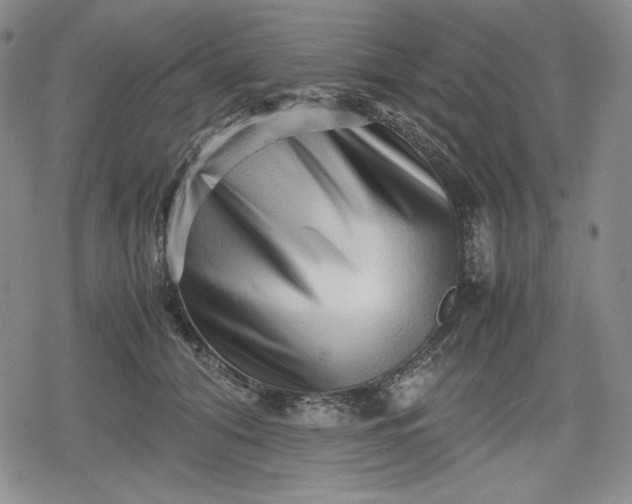 X0000080160608200612221228