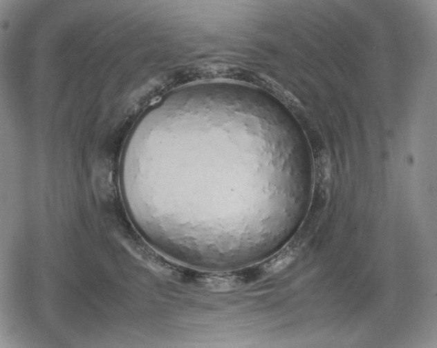 X0000080160615200612221227
