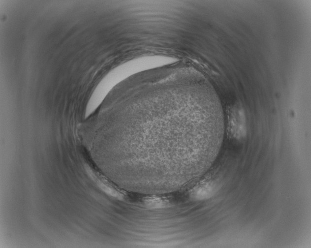 X0000080160616200612221227