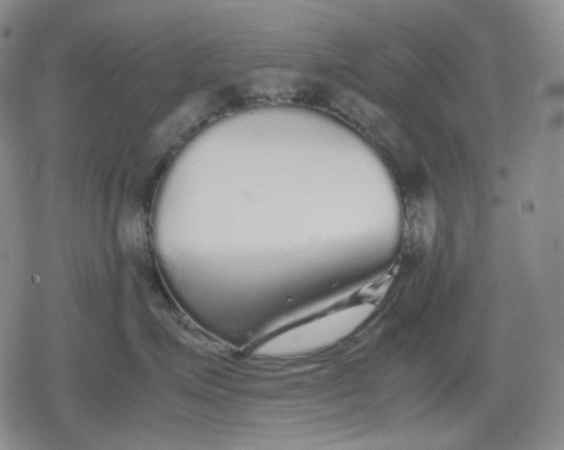X0000080160623200612221227
