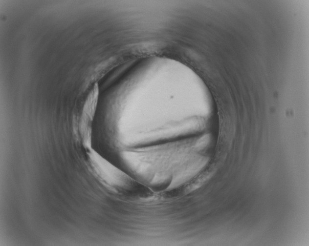 X0000080160624200612221227