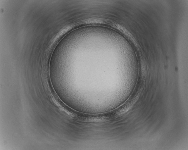 X0000080160625200612221226