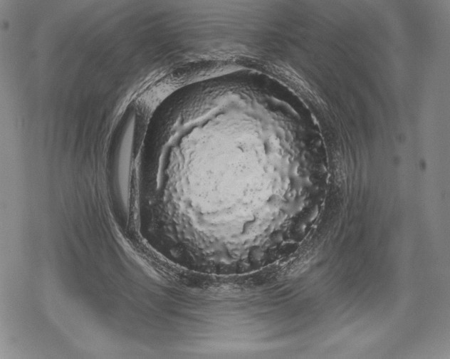 X0000080160634200612221227