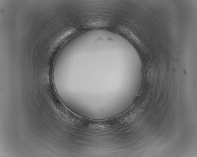 X0000080160635200612221227