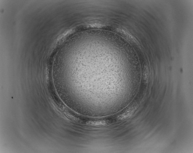 X0000080160639200612221227