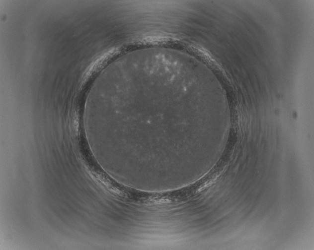 X0000080160640200612221227