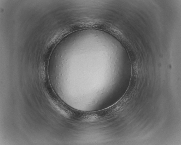 X0000080160642200612221227