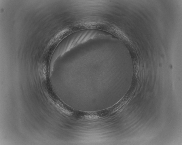 X0000080160644200612221227