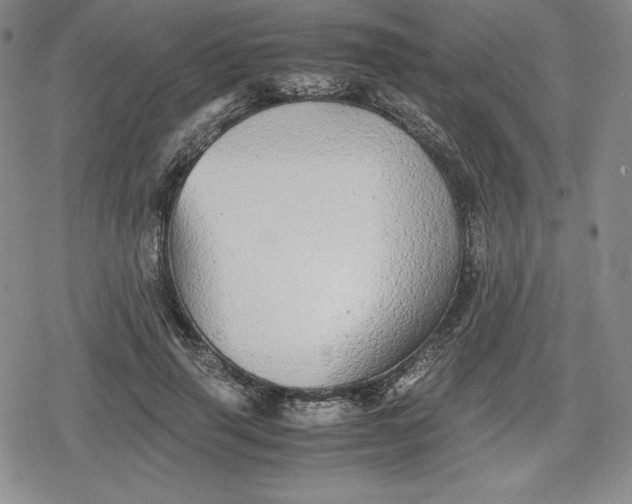 X0000080160645200612221227