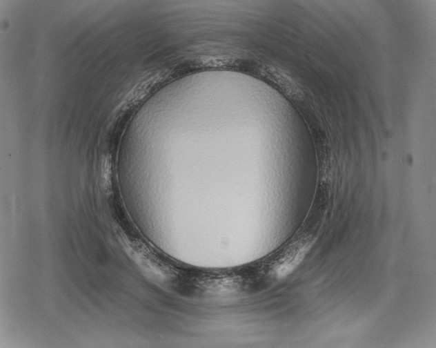 X0000080160646200612221227