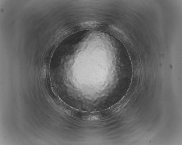 X0000080160647200612221227