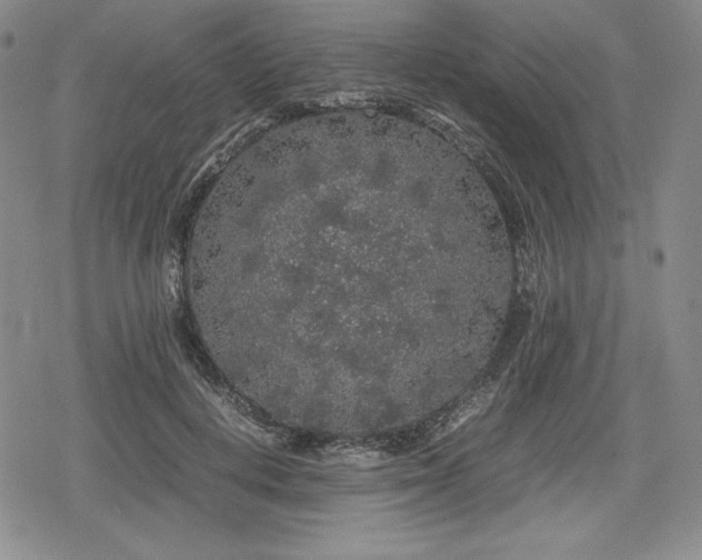 X0000080160648200612221227