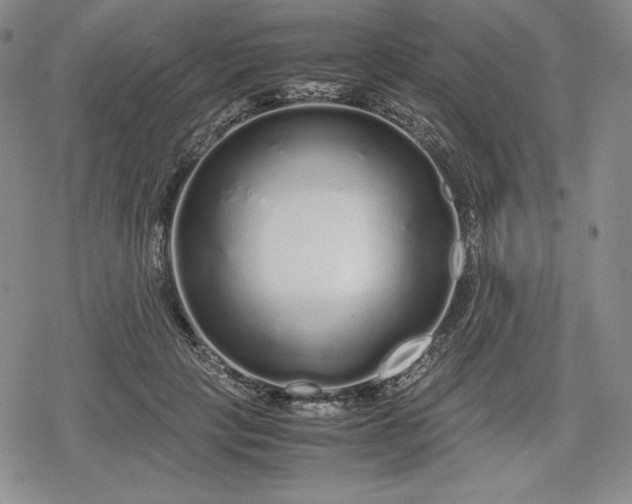 X0000080160649200612221227