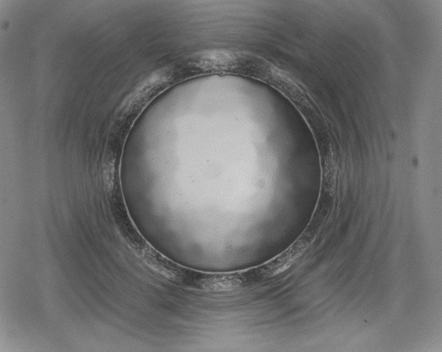 X0000080160652200612221227