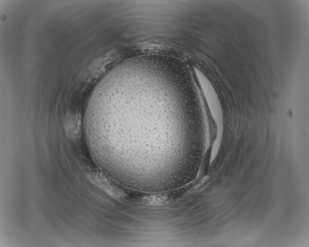 X0000080160660200612221227
