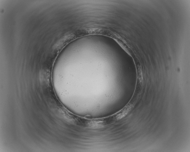 X0000080160664200612221227