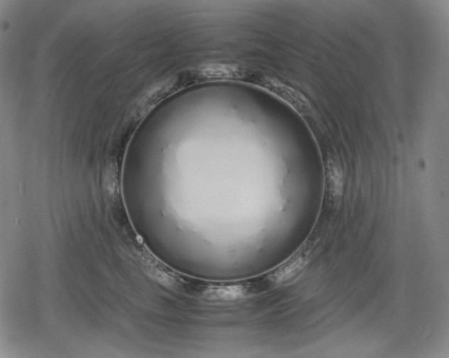 X0000080160665200612221227