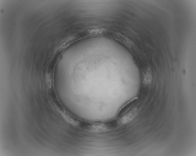 X0000080160666200612221227